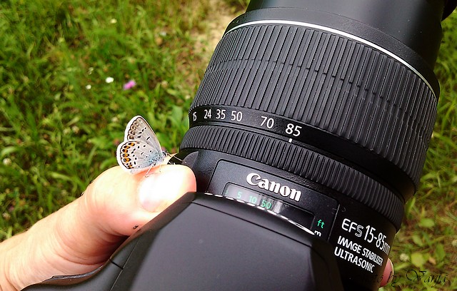 IMG 20110704 133049mm