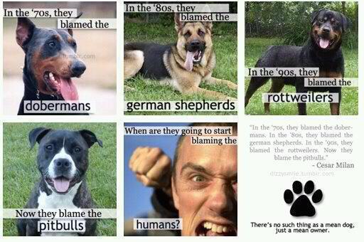 Vedno je kriv nekdo drug