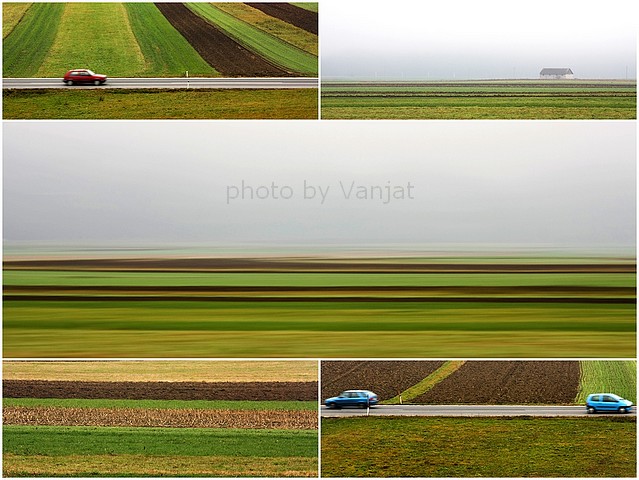 Lenpljenka Boštanjsko poljemm - Kopija