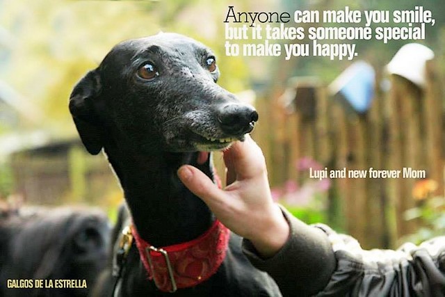 1390757 367982056667733 2082212736 nmm