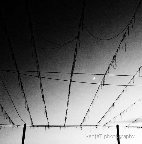 20131107 165815abwmm