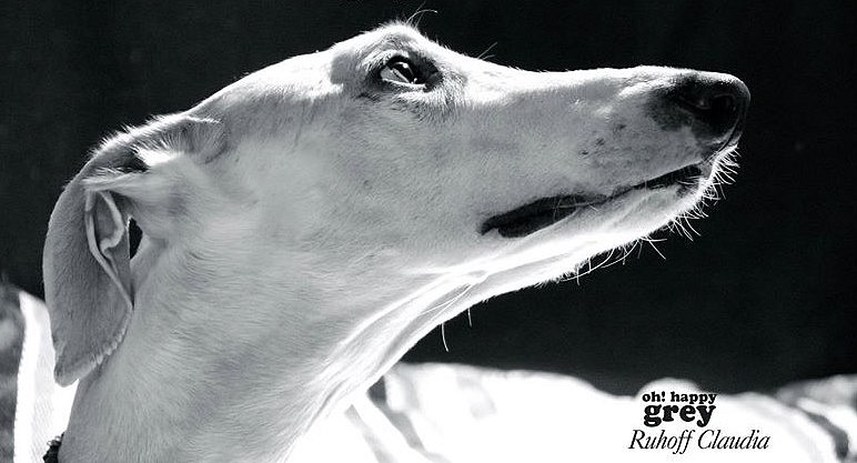 1522872 408328242633114 295042235 oA